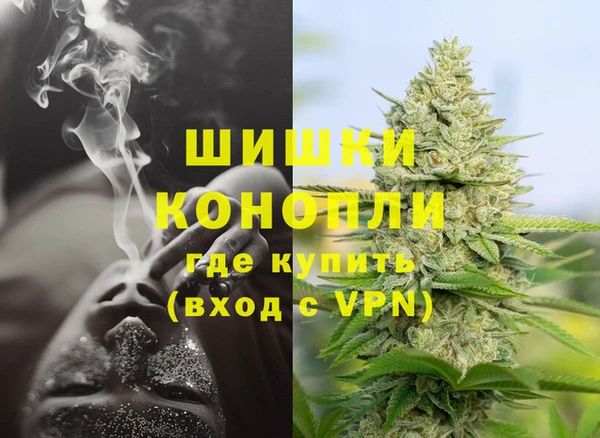 спайс Богданович