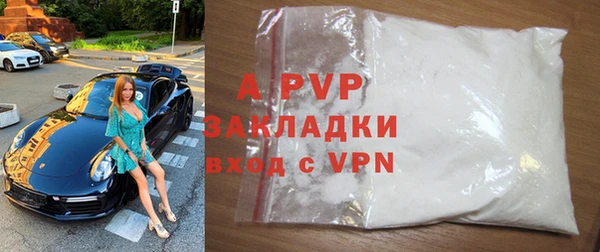 спайс Богданович