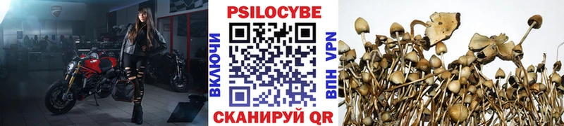 Псилоцибиновые грибы Psilocybine cubensis  маркетплейс телеграм  Чадан  ОМГ ОМГ как войти 