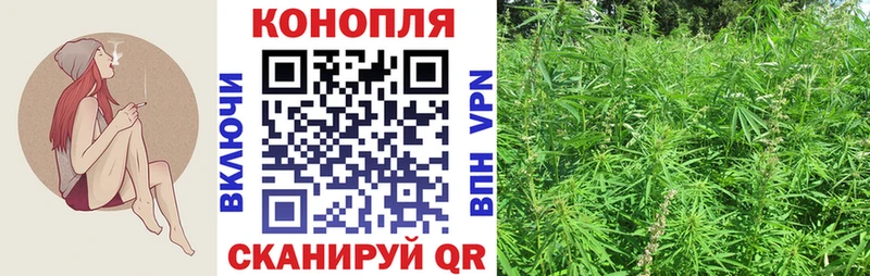 Бошки марихуана гибрид  блэк спрут сайт  Чадан 
